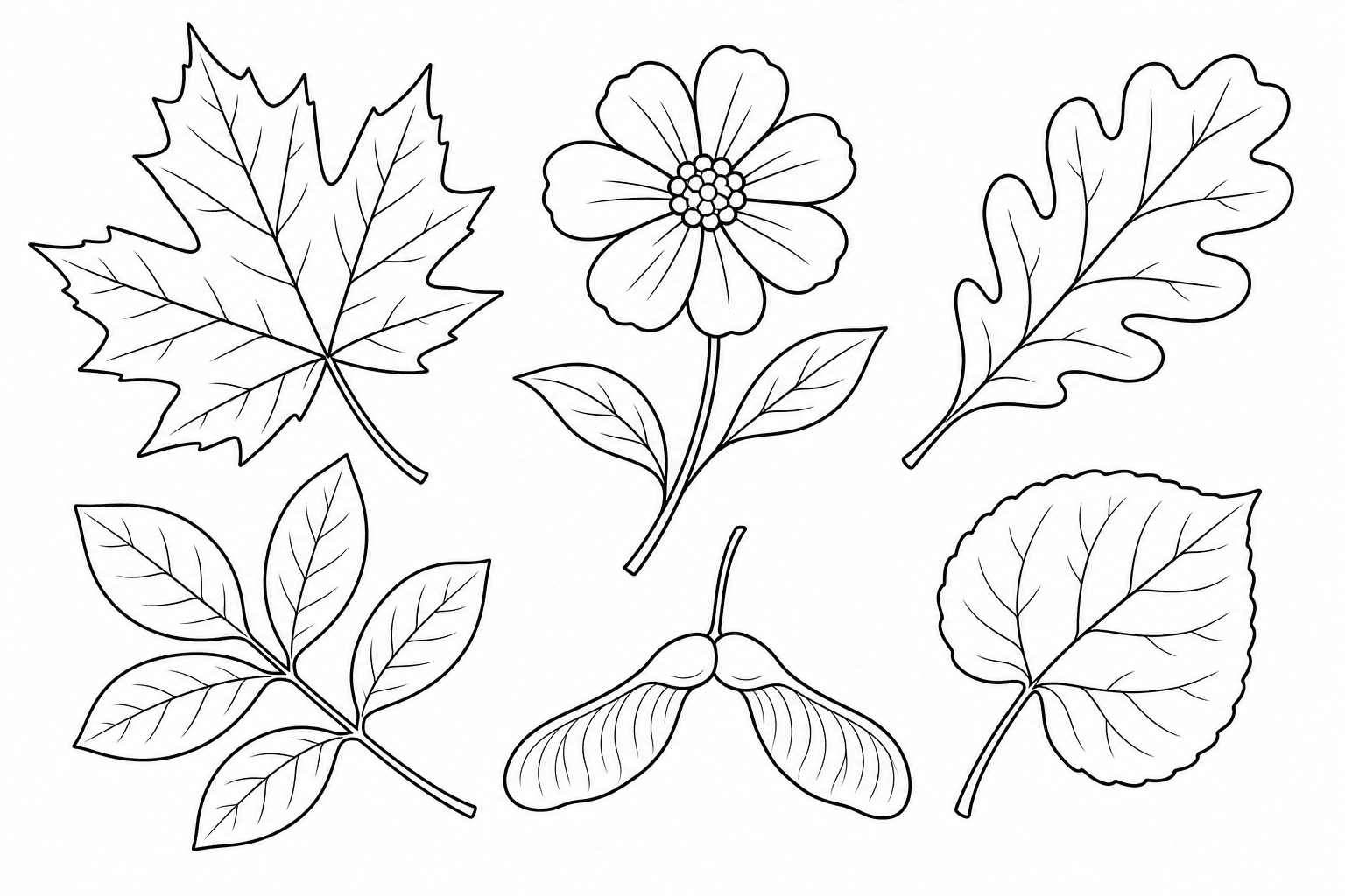 Printable leaf and flower nature coloring page for kids.